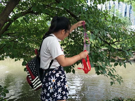 走沙洲东河，探美丽中国——记2018水文水资源学院暑期社会实践系列...