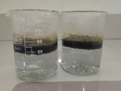 走访万新河道，探寻如皋水质——记2018水文水资源学院暑期社会实践...