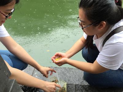 水文院赴南京市内秦淮小分队放鱼养水活动——2015水文水资源学院暑...